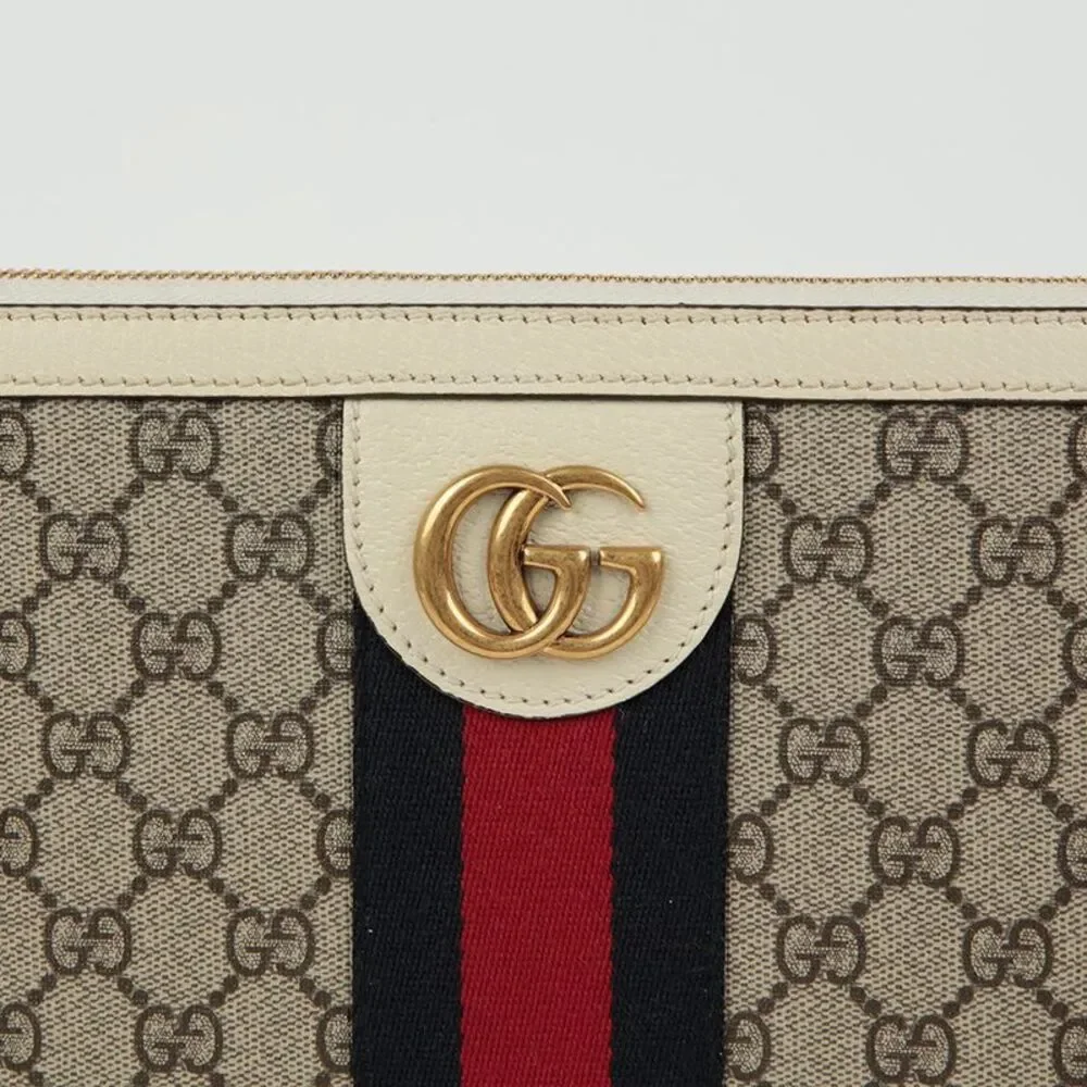 Ophidia Portfolio Case